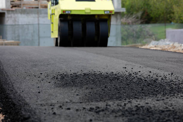 Best Local Driveway Pavers  in Ol, LA