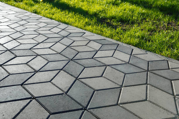 Best Driveway Paving Contractor  in Ol, LA