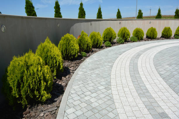Best Driveway Pavers Near Me  in Ol, LA